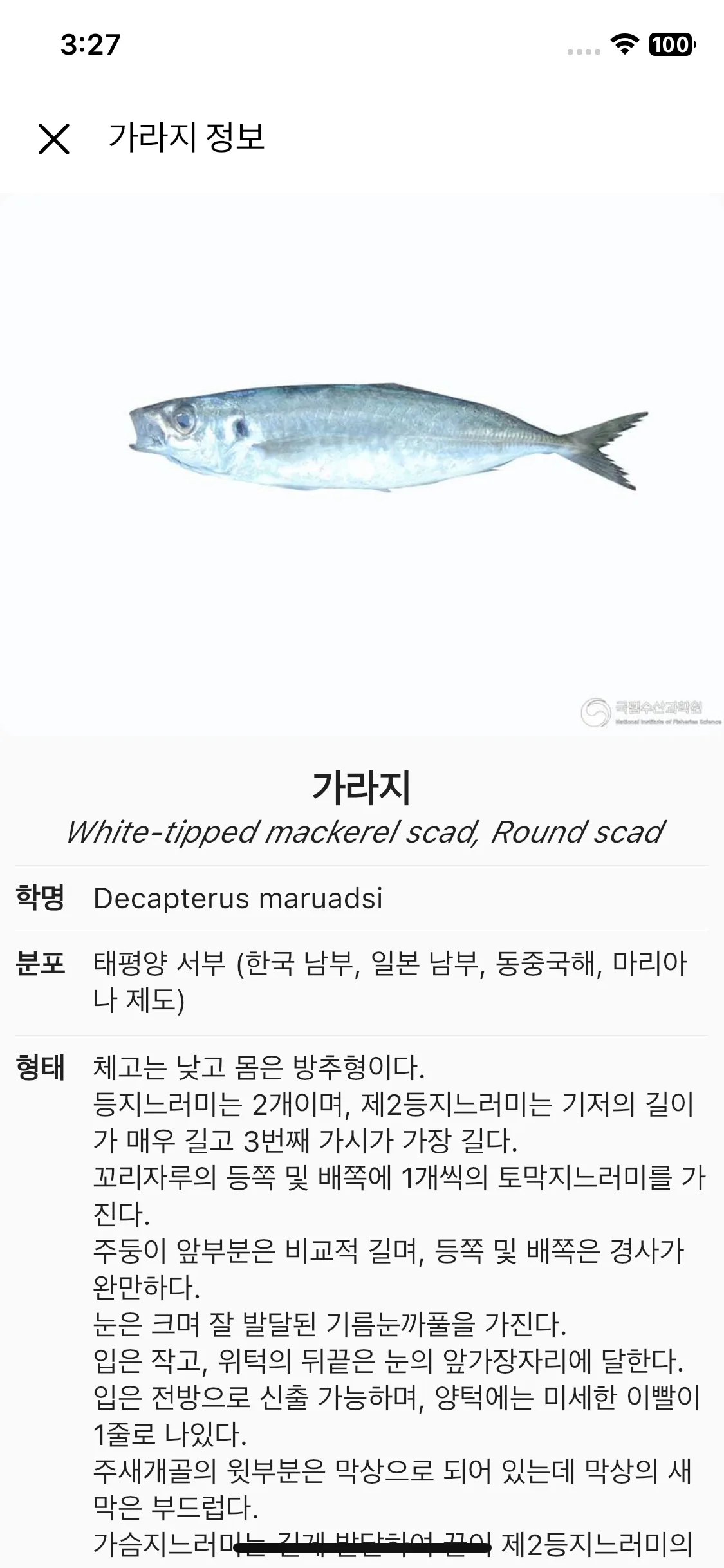 Test Image 4